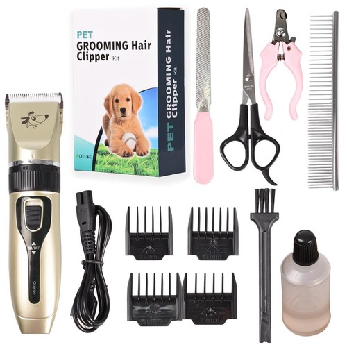 Professional pet dog - professional,