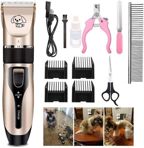 Pet dog cats - pet, electric