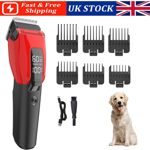 Professional pet dog - professional,
